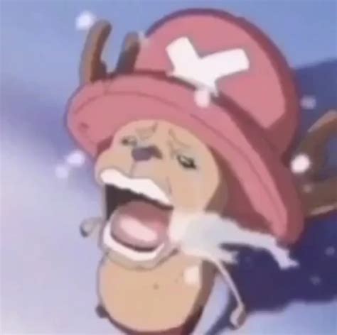 the one piece is real nsfw meme|Chopper Crying .